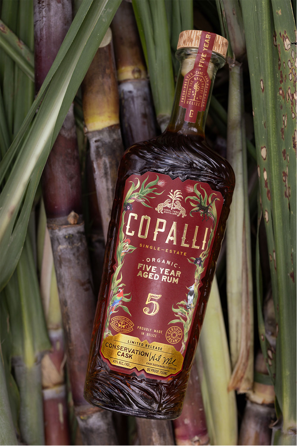 Copalli Organic Five Year Aged Rum